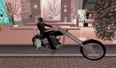SugarPink_20080419_1.jpg