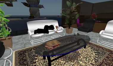 CC11_20080529_Serica_2.jpg