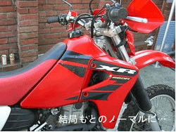 xr-big2.gif