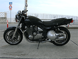 zep-2.gif