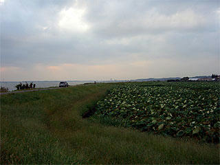 ct-008.jpg
