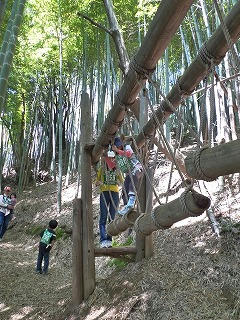 P1000255.jpg