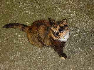 DSC00067.jpg
