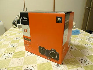 P1100324.jpg
