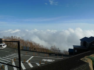 P1110287.jpg