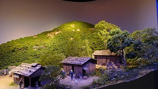 s-P1140694.jpg