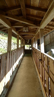 s-P1140718.jpg