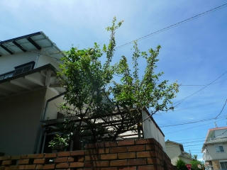 P1160671.jpg