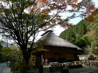 P1170410.jpg