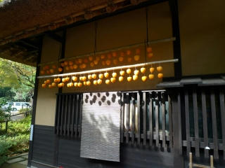 P1170405.jpg