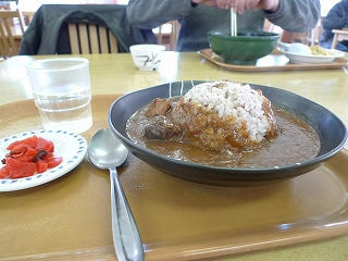s-P1170645.jpg