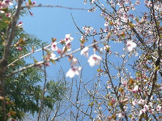 P1170677.jpg
