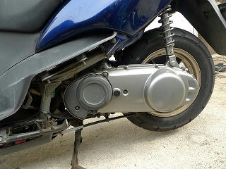 P1170773.jpg