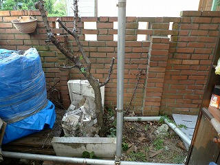P1170999.jpg