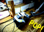 mini_006.jpg