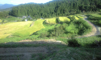 CA3A0034.JPG