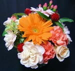 DSC00008.JPG