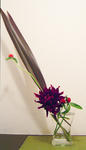 DSC00009.JPG
