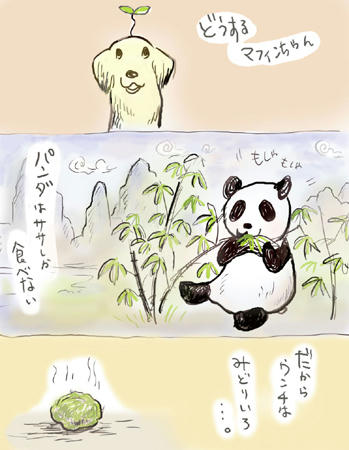 panda.jpg