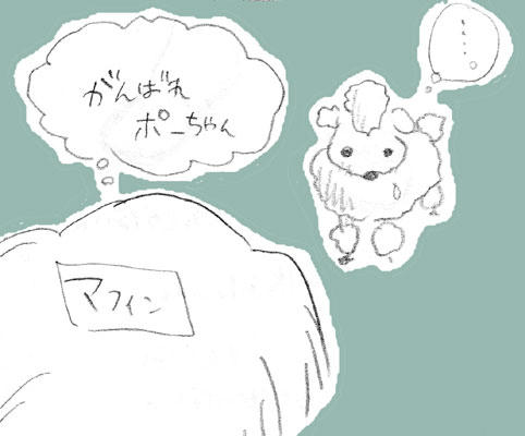 po-cyan.jpg