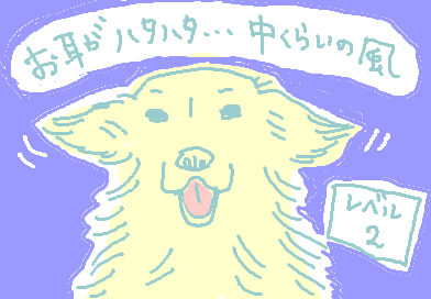fimg_1281391704.png