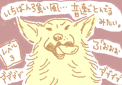 fimg_1281392341.png