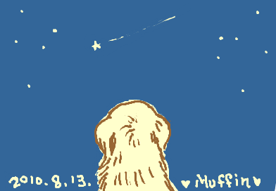 fimg_1281737197.png