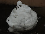 DSC01657.JPG