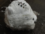 DSC01658.JPG