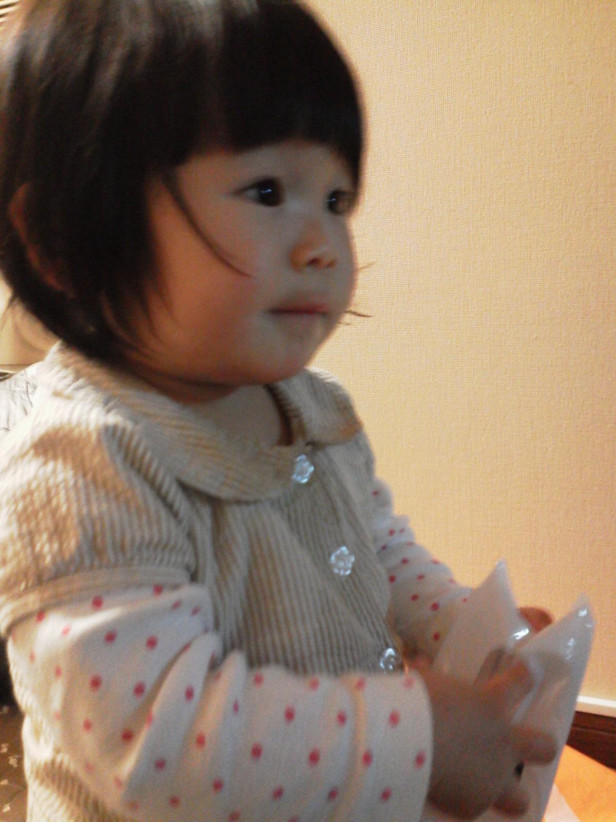 2013010221000000.jpg