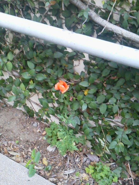 2013042317050000.jpg
