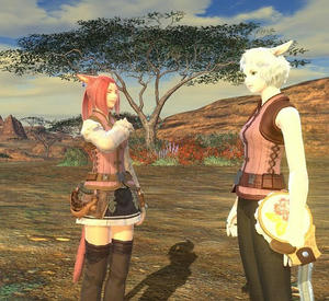 FFXIV_1327738881.jpg