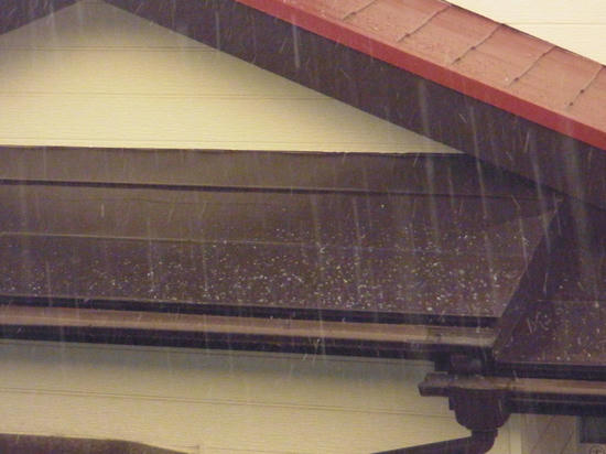 RIMG0029.jpg