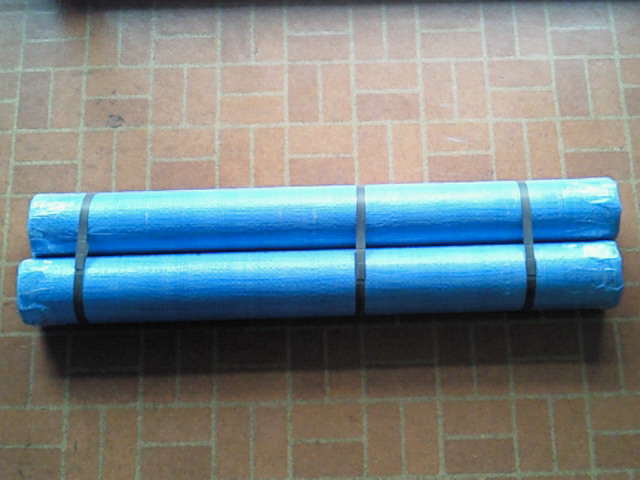 NEC_0202.JPG