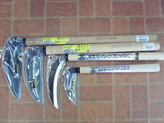 NEC_0231.JPG