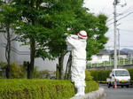 hachi1.jpg