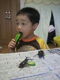 0812ichi.jpg