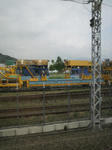 0827gandum.jpg
