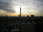 tokyo1.jpg