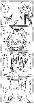 pika.gif