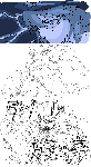 kinou.gif