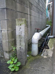 20070930b.jpg