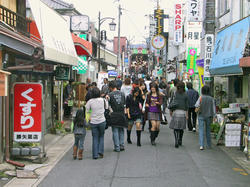 20071105a.jpg
