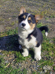 20080312a.jpg
