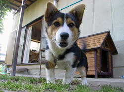 20080521c.jpg