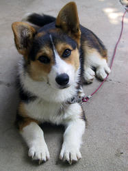 20080714a.jpg