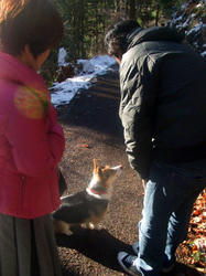 20090116c.jpg
