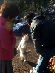 20090116d.jpg