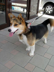 20090418b.jpg