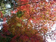 s-P1060852.jpg